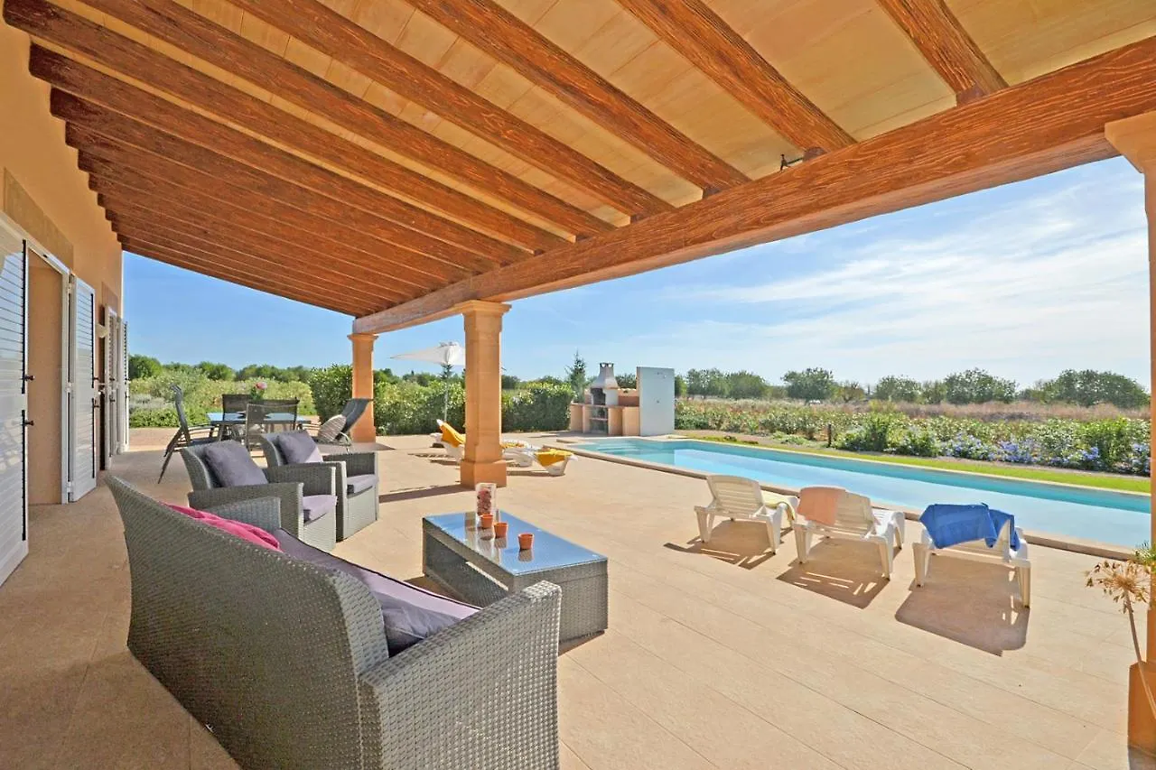 Villa Sion Binissalem Holiday home